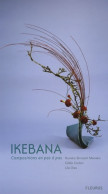 IKEBANA (2007) De Lila Dias - Natualeza