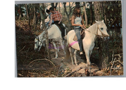 SEIGNOSSE LE PENON 40 - Promenade équestre Les Chevaux Du Centre LE GUARDIAN Cheval Forêt Landaise Carte Vierge - Sonstige & Ohne Zuordnung