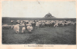 50-MONT SAINT MICHEL-N°4219-H/0183 - Le Mont Saint Michel