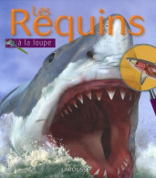 Les Requins (2009) De Beverly McMillan - Dieren