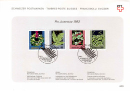 Suisse Poste Obl Yv:1440/1443 Pro Juventute Fleurs Bern 23-11-93 Feuillet PTT Fdc - FDC