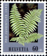 Suisse Poste N** Yv:1441 Mi:1513 Dryoteris Filixmas - Unused Stamps