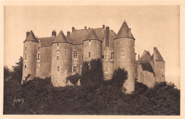 37-LUYNES LE CHATEAU-N°4221-A/0175 - Luynes