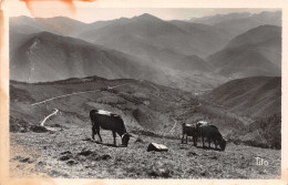 65-LE COL D ASPIN-N°4221-B/0251 - Autres & Non Classés