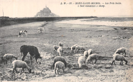 50-LE MONT SAINT MICHEL-N°4221-F/0149 - Le Mont Saint Michel