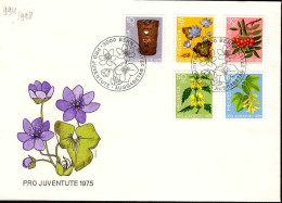 Suisse Poste Obl Yv: 994/998 Pro Juventute Fleurs Bern 27-1-1975 Fdc - FDC