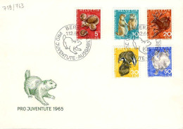 Suisse Poste Obl Yv: 759/763 Pour La Jeunesse Mammifères Bern 1-12-65 Fdc - FDC