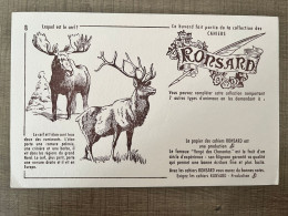 RONSARD Collection Des Cahiers Lequel Est Le Cerf ? - Papelería