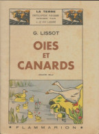 Oies Et Canards (1946) De G Lissot - Animales