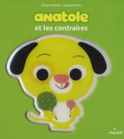 Anatole Et Les Contraires (2013) De Adrien Ménielle - Autres & Non Classés