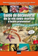 Guide Découverte De La Vie Sous Marine à Faible Profondeur (2009) De Collectif - Nature