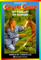 Un Poulain En Danger (1999) De Bonnie Bryant - Otros & Sin Clasificación