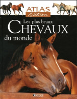 Les Plus Beaux Chevaux Du Monde (2005) De Glénat - Dieren