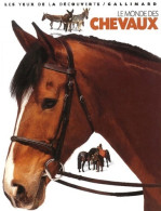 Le Monde Des Chevaux (2003) De Juliet Clutton-Brock - Animales