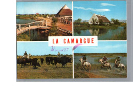 CAMARGUE - FOLKLORE - Lumière Et Tradition Maison Taureau Cheval Gardian Dans Les Marais La Croix - Other & Unclassified