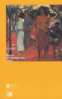 Guide Musée Beaux Arts Lyon (1998) De Collectif - Art