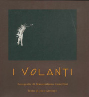 I Volanti (2003) De Massimiliano Camellini - Arte