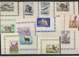 Romania 1956 - Fauna , Animals , Hunting , 12 Values , Not Laced , MNH - Ongebruikt