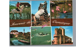 CAMARGUE - FOLKLORE - La Croix Des Gardian Dans Les Marais Cheval  Flamant Rose Taureau Carte Vierge - Other & Unclassified