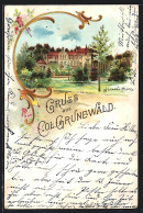 Lithographie Berlin-Grunewald, Col. Grunewald, Johanna-Platz Mit Gebäude  - Grunewald