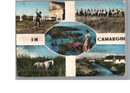 CAMARGUE - FOLKLORE - Le Jeu Du Lasso Gardian Vaccarès Crin Blanc Cabanes Cheval - Autres & Non Classés