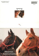 Format Spécial - 165 X 115 Mms - Animaux - Chevaux - Portrait - Tete De Cheval - Carte Neuve - Frais Spécifique En Raiso - Horses