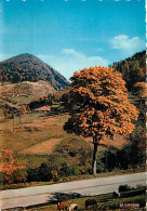 88 - Bussang - Pâturages Au Col De Bussang - Moutons - Carte Neuve - CPM - Voir Scans Recto-Verso - Bussang