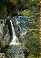 66 - Amélie Les Bains - Les Gorges Du Mondony - CPM - Voir Scans Recto-Verso - Autres & Non Classés