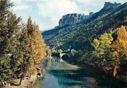 48 - Les Gorges Du Tarn - Le Rozier - Le Vieux Pont Sur Le Tarn - Carte Neuve - CPM - Voir Scans Recto-Verso - Gorges Du Tarn