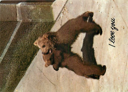 Animaux - Ours - La Fosse Aux Ours De Berne - Oursons - Zoo - Bear - CPM - Carte Neuve - Voir Scans Recto-Verso - Bears