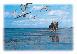 Animaux - Chevaux - Promenade Equestre Sur La Plage - Voir Scans Recto Verso  - Horses