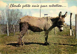 Animaux - Anes - Carte Humoristique - CPM - Voir Scans Recto-Verso - Asino