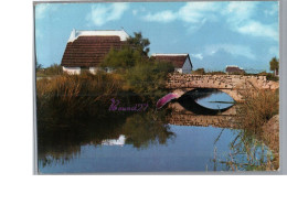 CAMARGUE - FOLKLORE - Les Cabanes Des Gardians Pont Carte Vierge - Andere & Zonder Classificatie