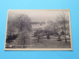 Delcampe - Etablissement De CARLSBOURG Sous Le Givre ( Edit.: Thill ) Anno 19?? ( Zie / Voir SCAN ) ! - Paliseul