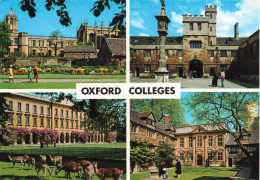ROYAUME UNI - Oxford - Colleges - Colorisé - Carte Postale - Oxford
