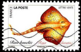 France Poste AA Obl Yv:1693 Mi:7272 Raie Bouclée Raja Clavata (Lign.Ondulées) - Used Stamps