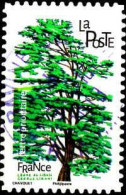 France Poste AA Obl Yv:1607 Mi:7090 Chavouet Cèdre Du Liban Cedrus Libani (Beau Cachet Rond) - Used Stamps
