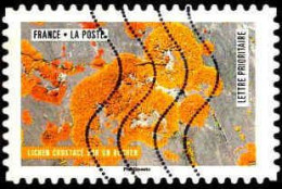 France Poste AA Obl Yv:1508 Mi:6933 Lichen Crustacé Sur Un Rocher (Lign.Ondulées) - Used Stamps