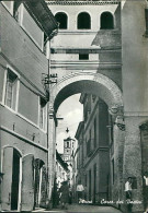 Delcampe - PENNE ( PESCARA ) CORSO DEI VESTINI - EDIZIONE SERAFINI - SPEDITA 1954 (20686 ) - Pescara