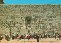 ISRAEL - Jérusalem - Wailing Wall - Animé - Colorisé - Carte Postale - Israele