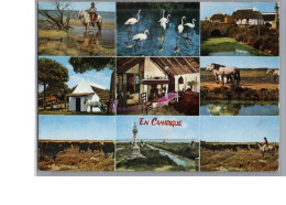 CAMARGUE - FOLKLORE - Cabanes Des Gardians Croix Des Félibres Passage D'un Gué Manade De Toros Cheval 1968 - Autres & Non Classés