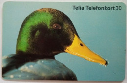Sweden 30Mk. Chip Card - Bird 20 Wild Duck - Sweden