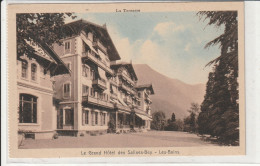 GRANDHOTEL DE SALINES - BEX LES - BAINS - Bex