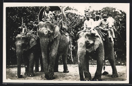 AK Drei Reit-Elefanten  - Elefanti