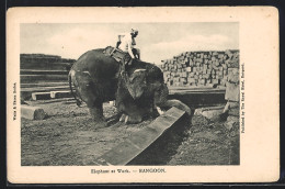 AK Rangoon, Elephant At Work  - Olifanten