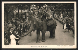 AK London, Garden Of The Zoological Society, Regent`s Park, Elephant Riding  - Elefanten