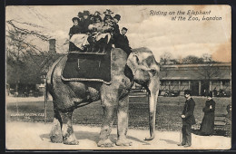 AK London, Zoo, Riding On The Elephant  - Elefantes