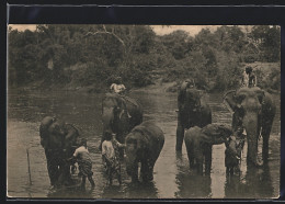 AK Elefanten An Der Wasserstelle  - Elefanti