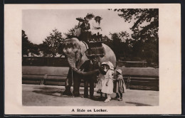 AK A Ride On Locker  - Elephants