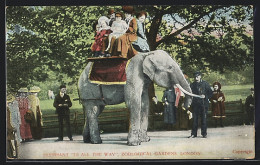 AK London, Zoo, Elephant 2nd All The Way  - Elefantes